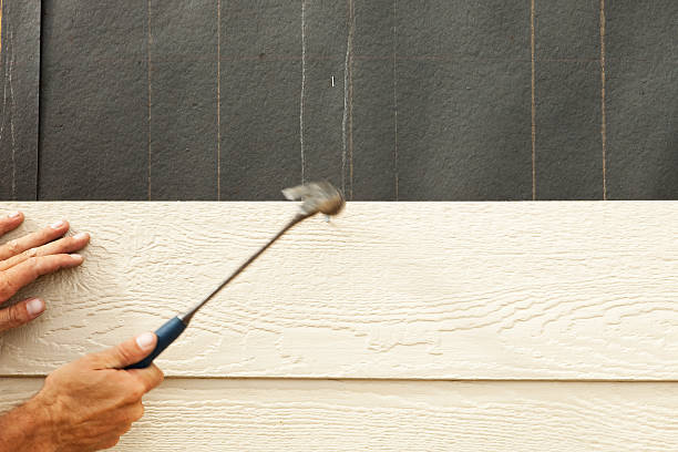 Best Stucco Siding  in Coal Fork, WV